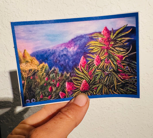 Purple Haze Stickers